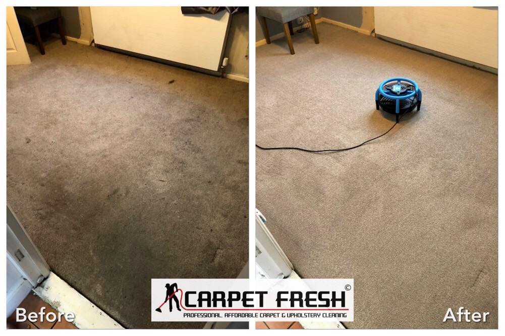 Carpet Cleaning Worksop