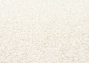 carpet cleaning worksop