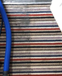 carpet cleaners worksop