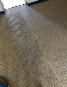 carpet cleaning chesterfield